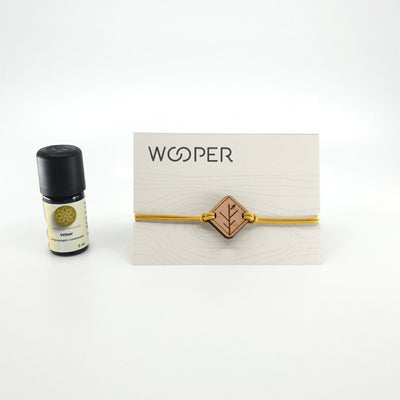 Le Coffret de la Terre